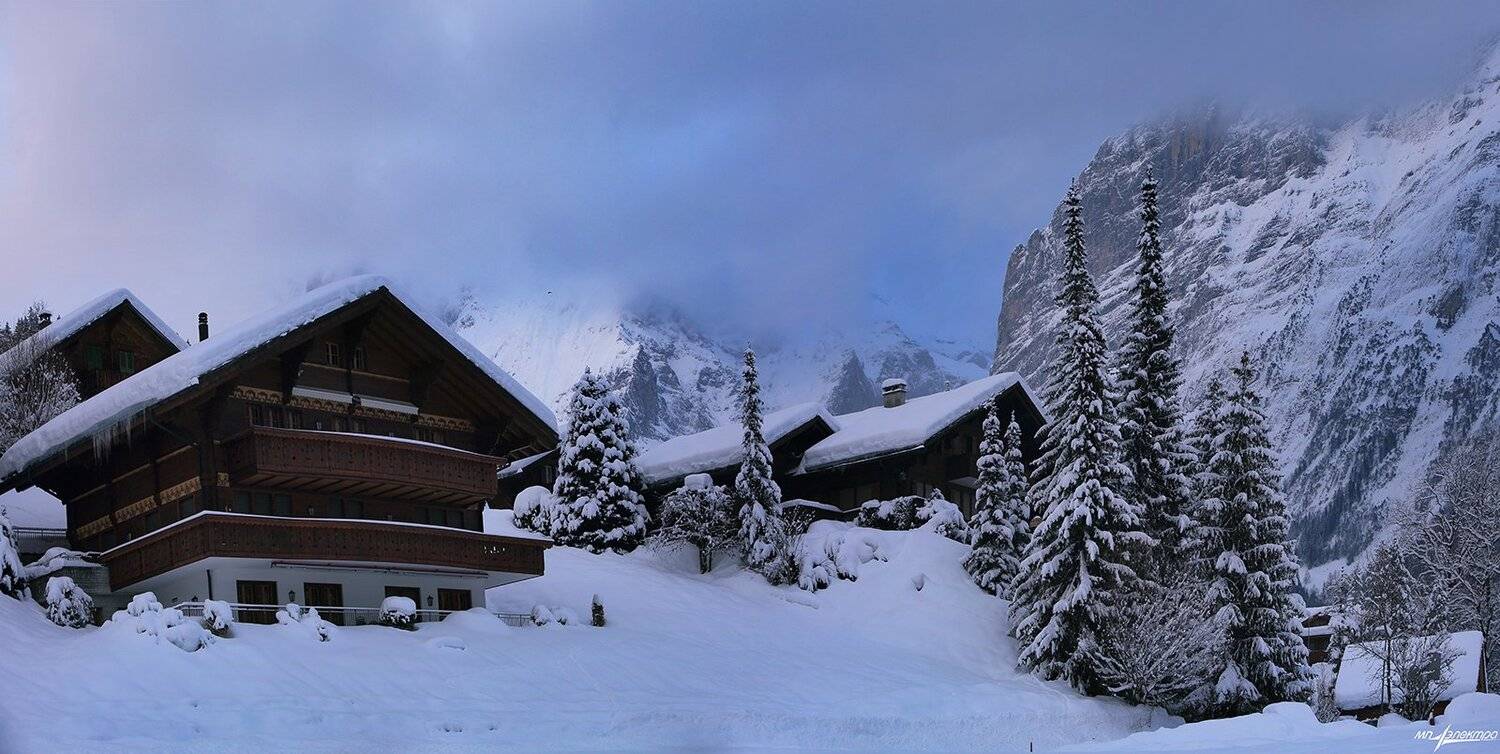 swiss, Матвеев Николай