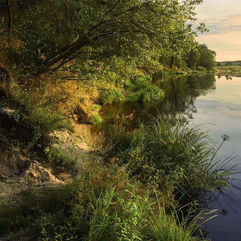 Летом на берегу фото превью