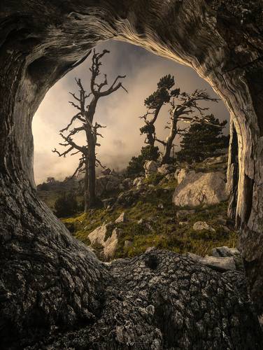 Window to the past