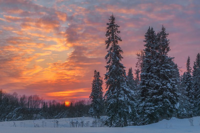 В свете уходящего дня фото превью
