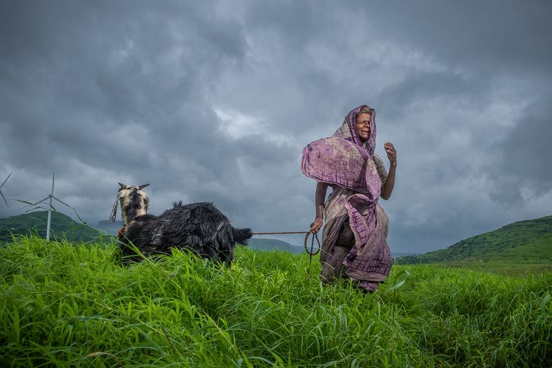 woman lady goat Lost in dream land.... фото превью