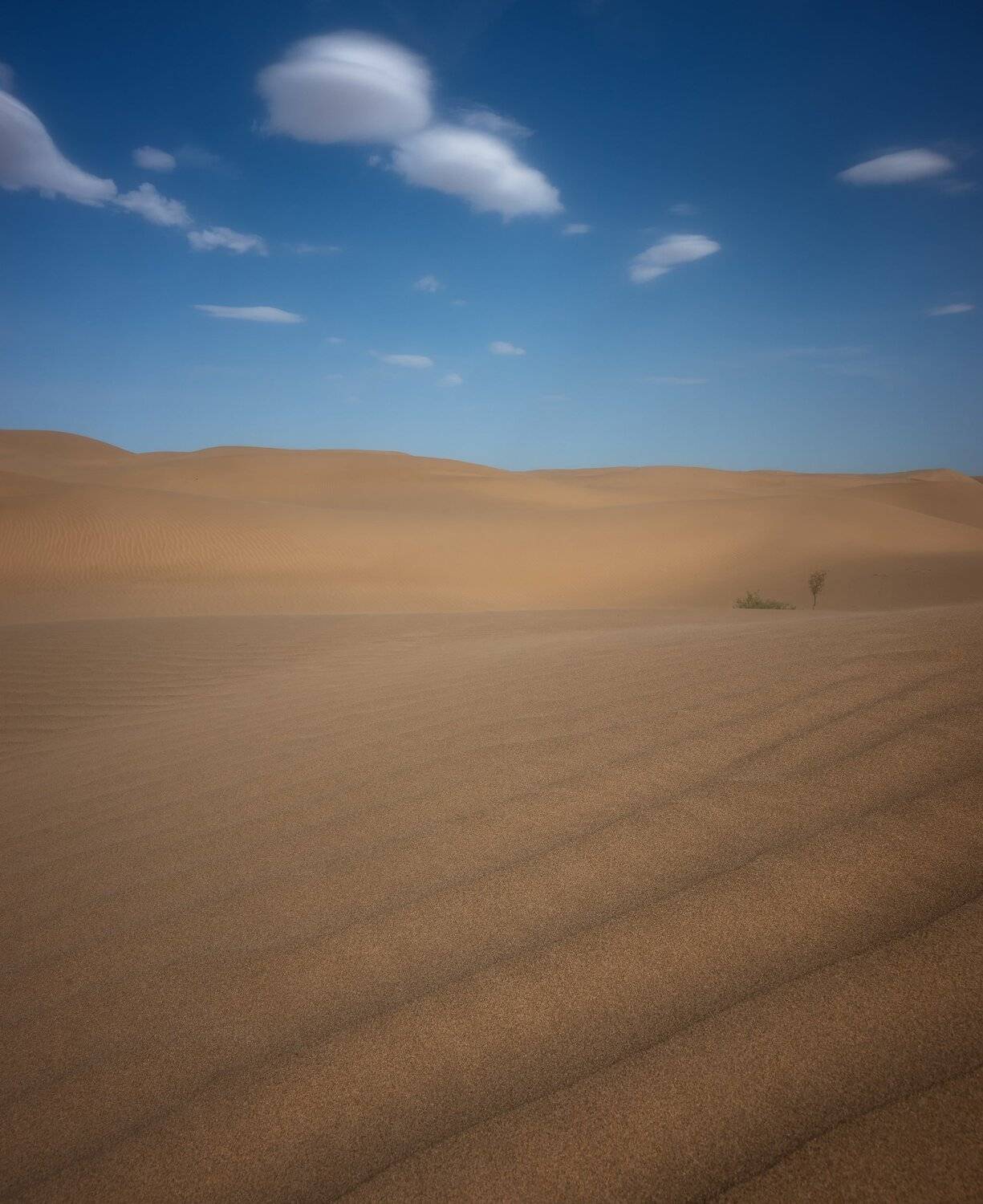 , Алексей Козаченко