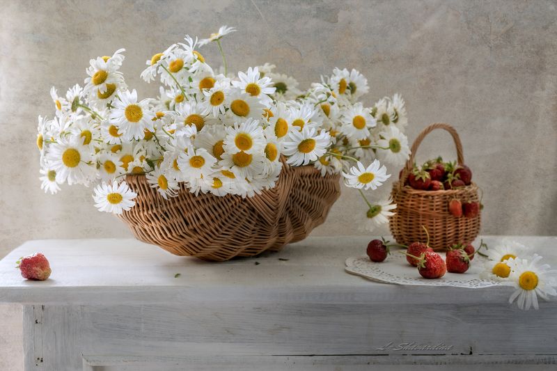 Ромашковое утро фото превью