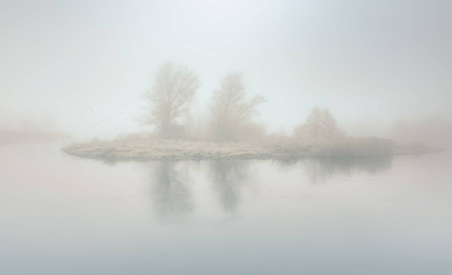 mist, landscape, winter, hazy island, atmosphere, trees, light, nikon, morning, ,irror, water, river, gwda, sky, ground frost, Krzysztof Tollas