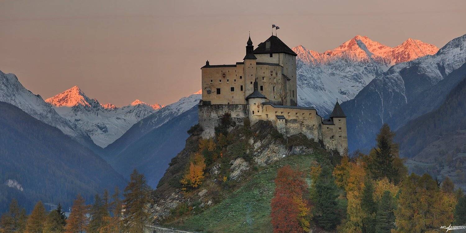 swiss, Матвеев Николай