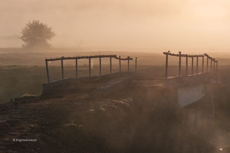 на пасдбище фото превью