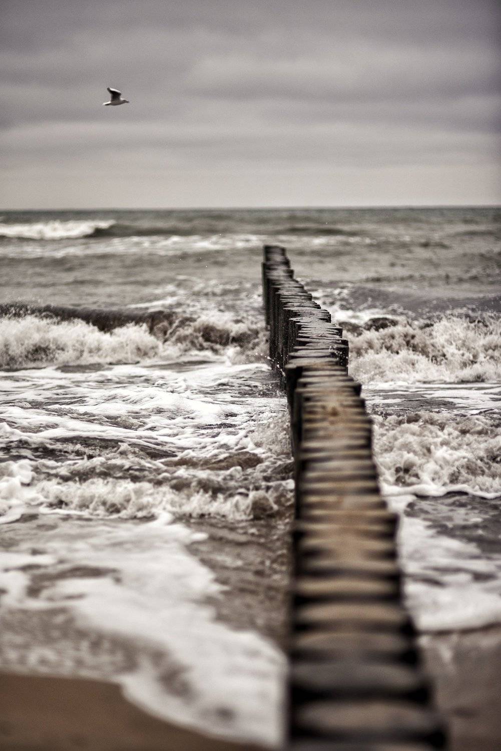 , Владимир Леликов-Кузьменко