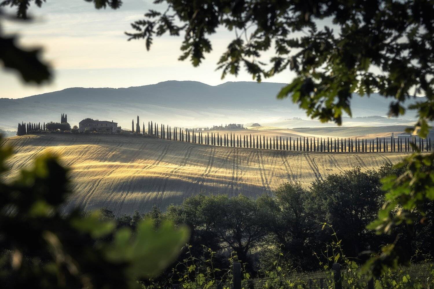 , Алексей Козаченко