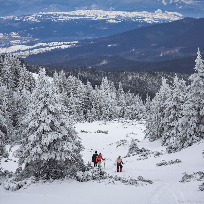 Карпаты. Украина *** фото превью
