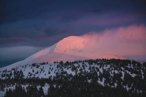 Последний вечер зимы
