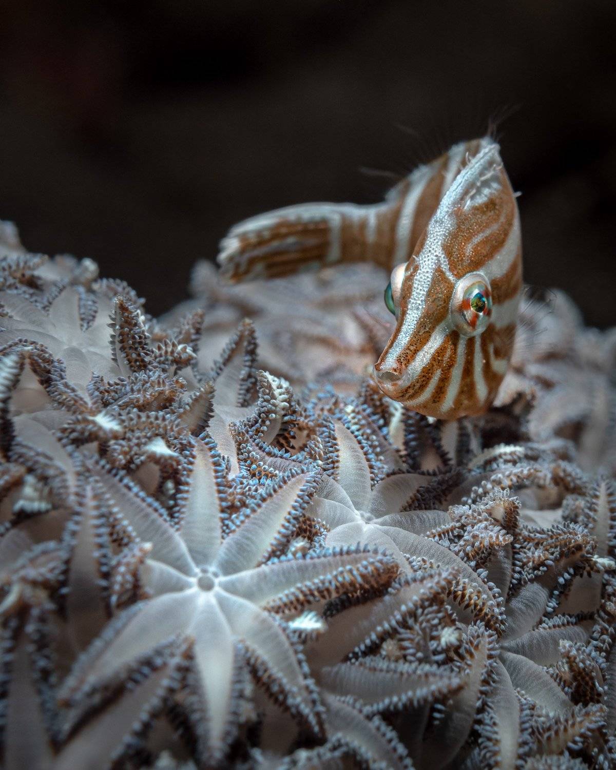 , Андрей Савин