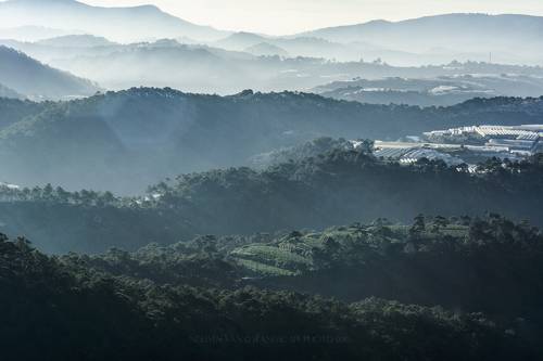 Da Lat 2019