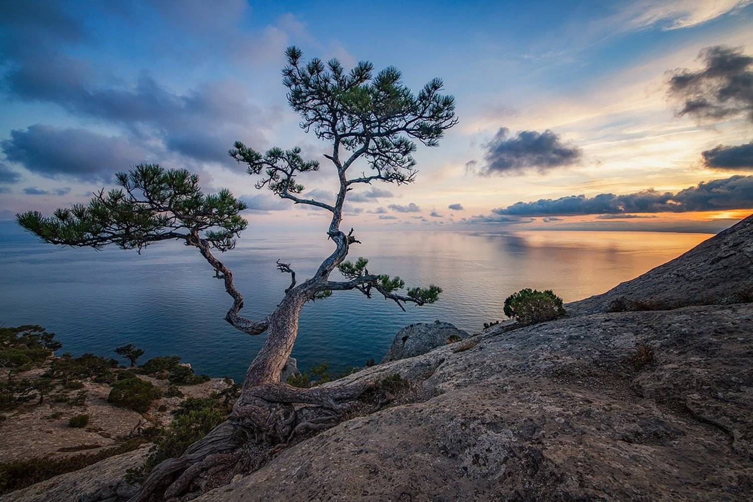 , Станислав Аристов