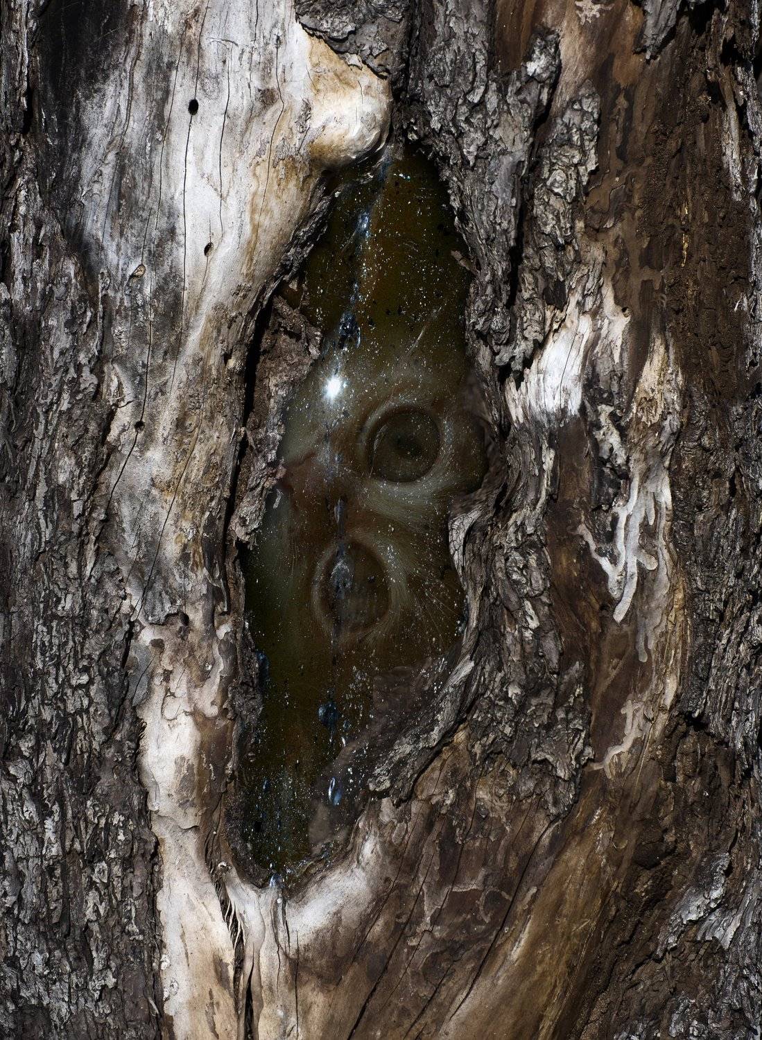 , Владимир Краснов