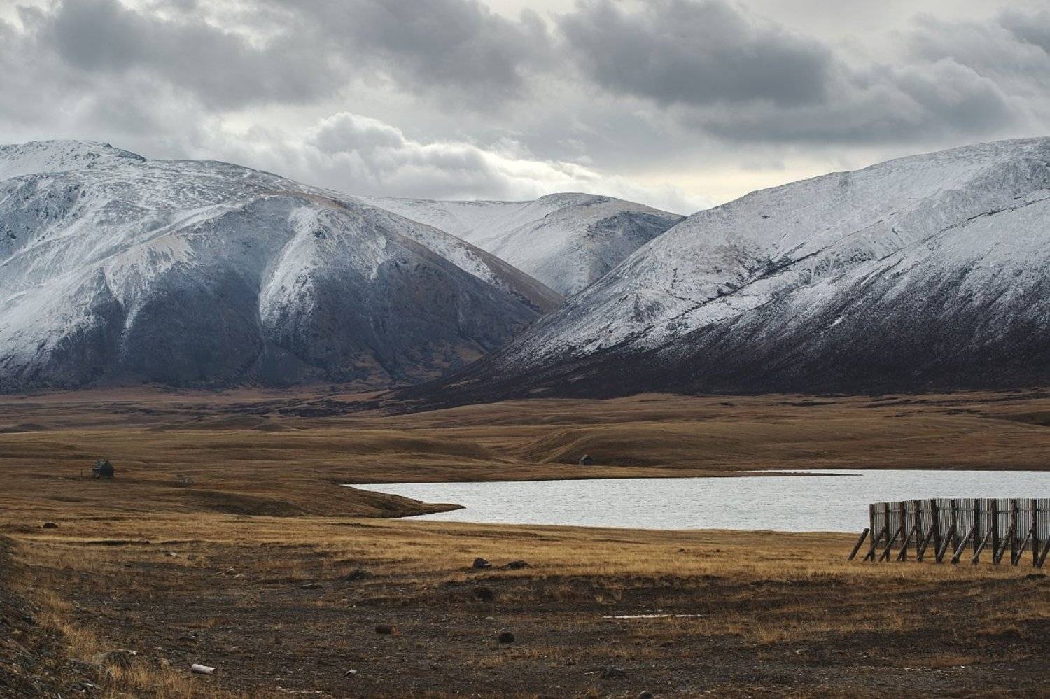 , Толмачев Дмитрий