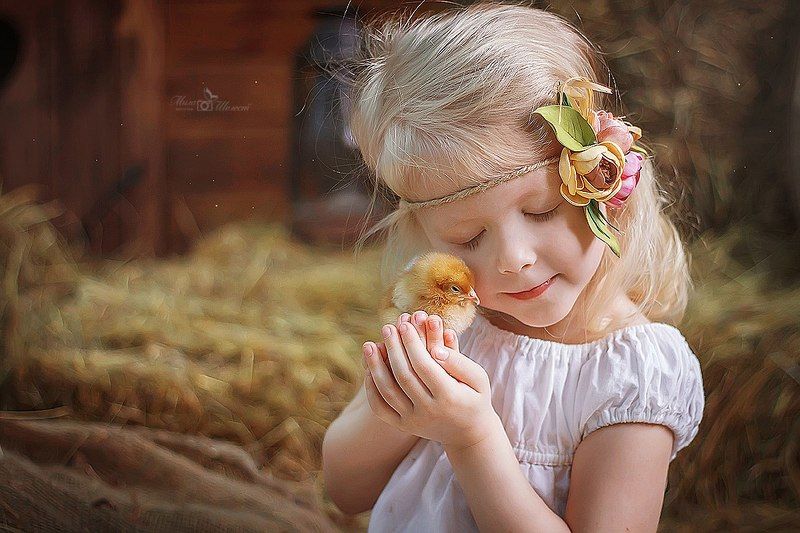 девочка, портрет, цыпленок, деревня, деревенский, пасхальный, птица, питомец, блондинка, ребенок, малыш, детство *** фото превью