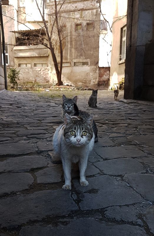 Wrong neighborhood фото превью