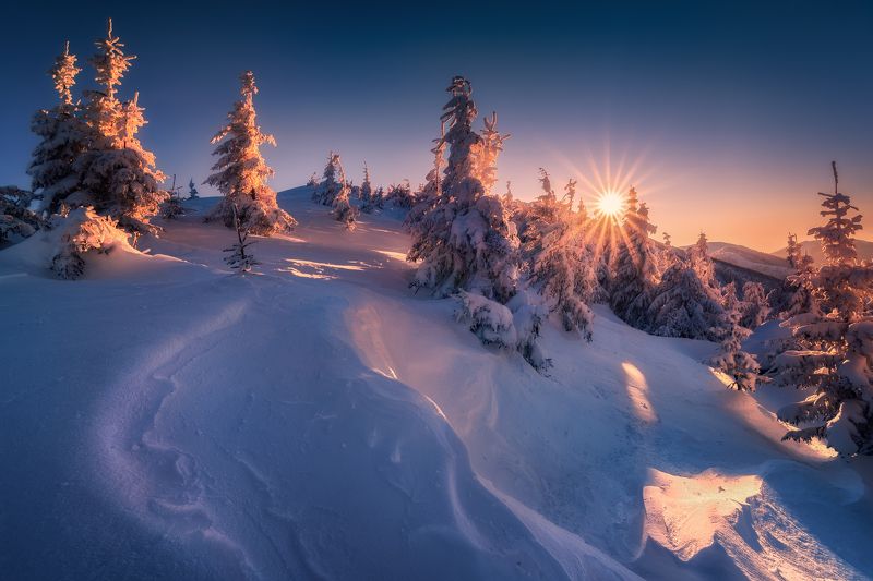 On the way to the light фото превью