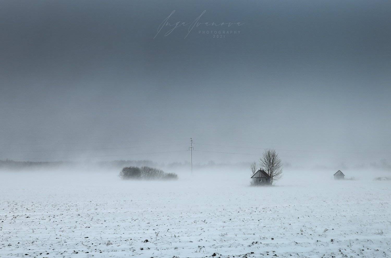 , Инга Иванова