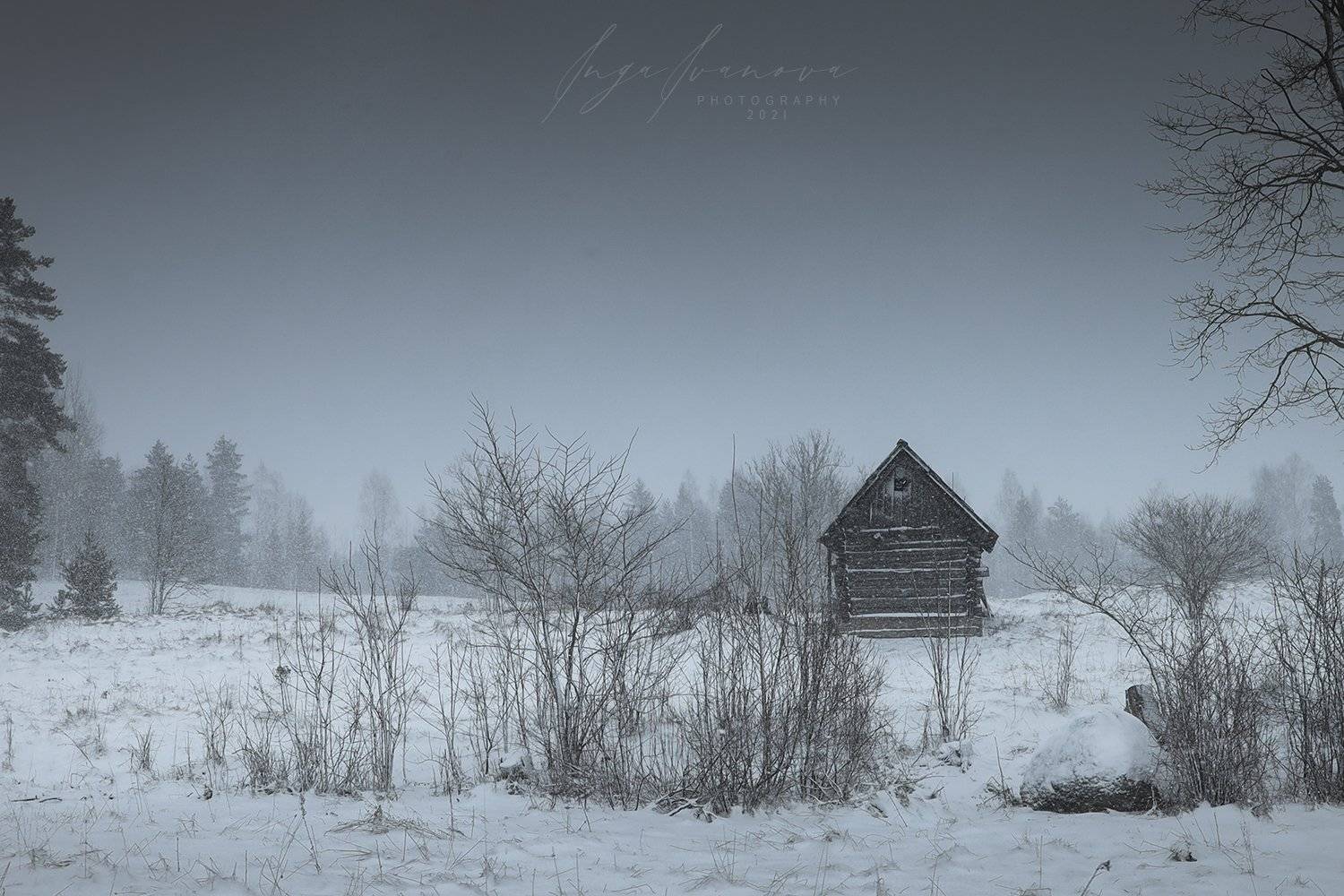 , Инга Иванова