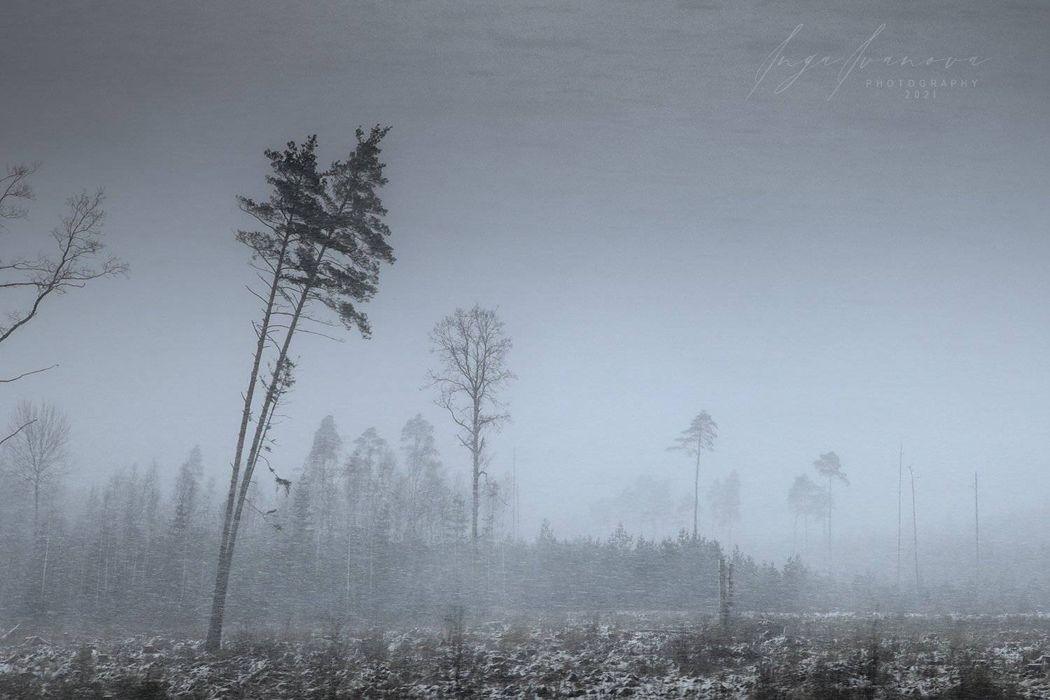 , Инга Иванова