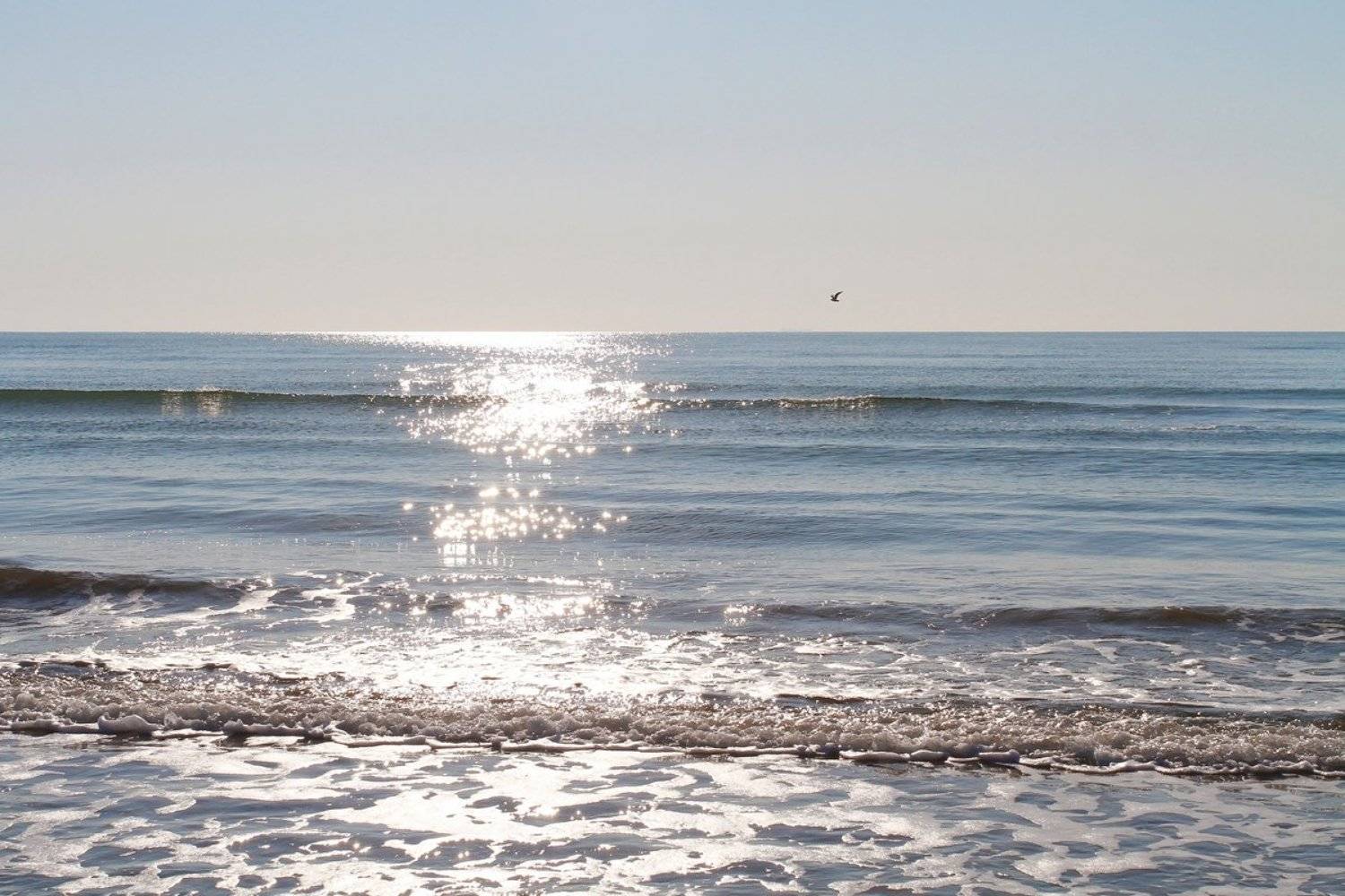 , Геннадий Петрущенко