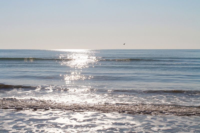 Чёрное море фото превью