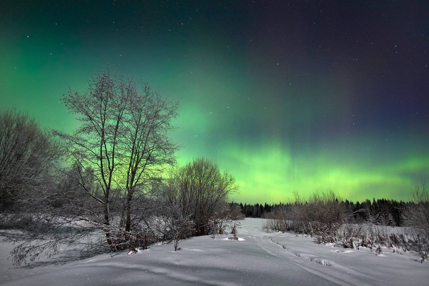 8, марта, Сергей Макурин