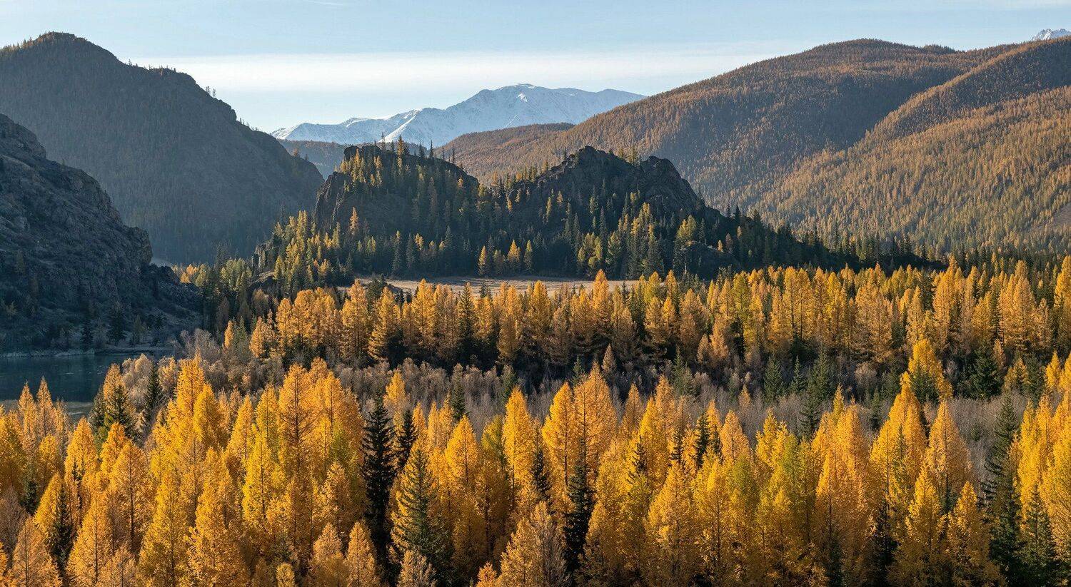 , Марина Фомина