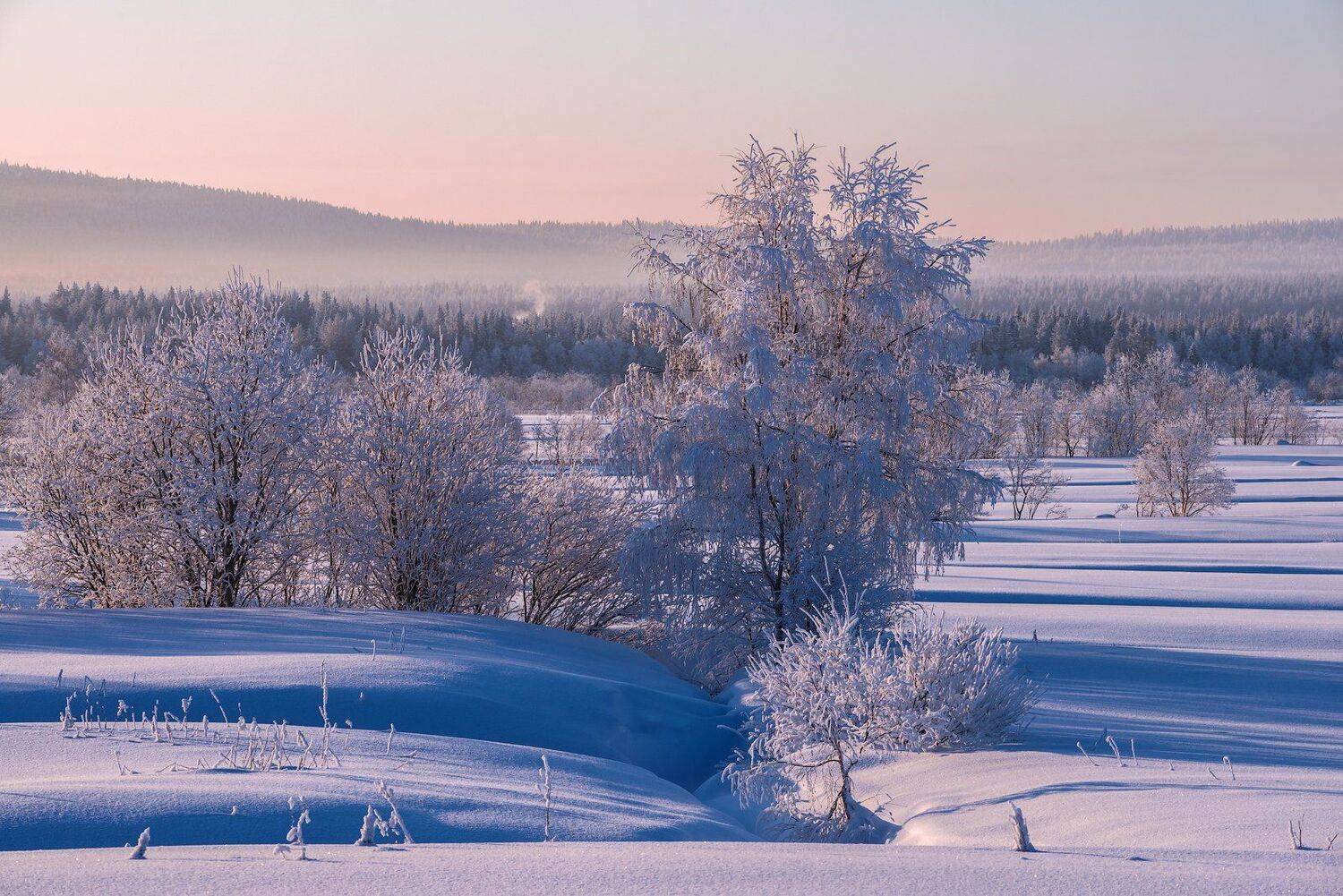 север, кольский, хибины, заполярье,, Роман Горячий
