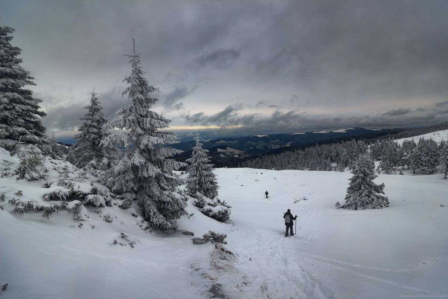 Карпаты, Украина, Алексей Медведев