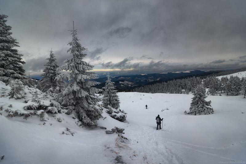 Карпаты, Украина *** фото превью