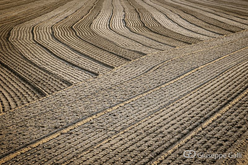Countryside фото превью