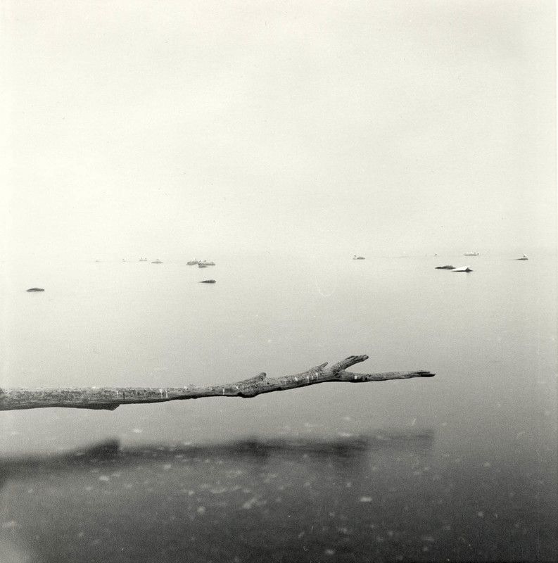 filmphotography, analogphotography, darkroomphotography, silvergelatineprint, b&w, blackandwhite Thoughts and feelings. фото превью