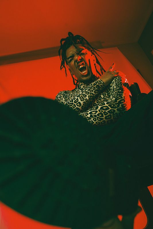 Punked! фото превью