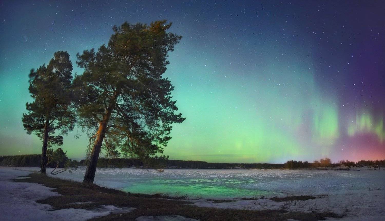 , Сергей Макурин