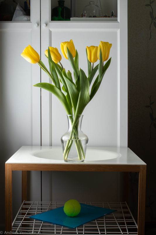 Yellow tulips фото превью