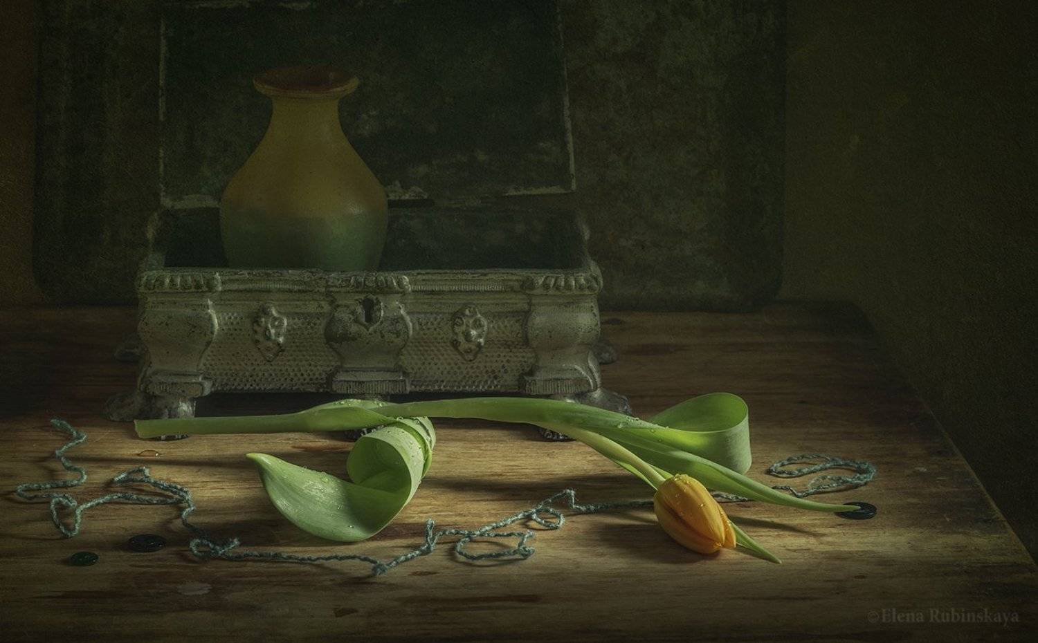 , Елена Рубинская