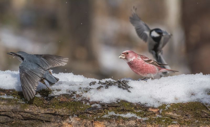 И пусть весь мир подождёт… фото превью