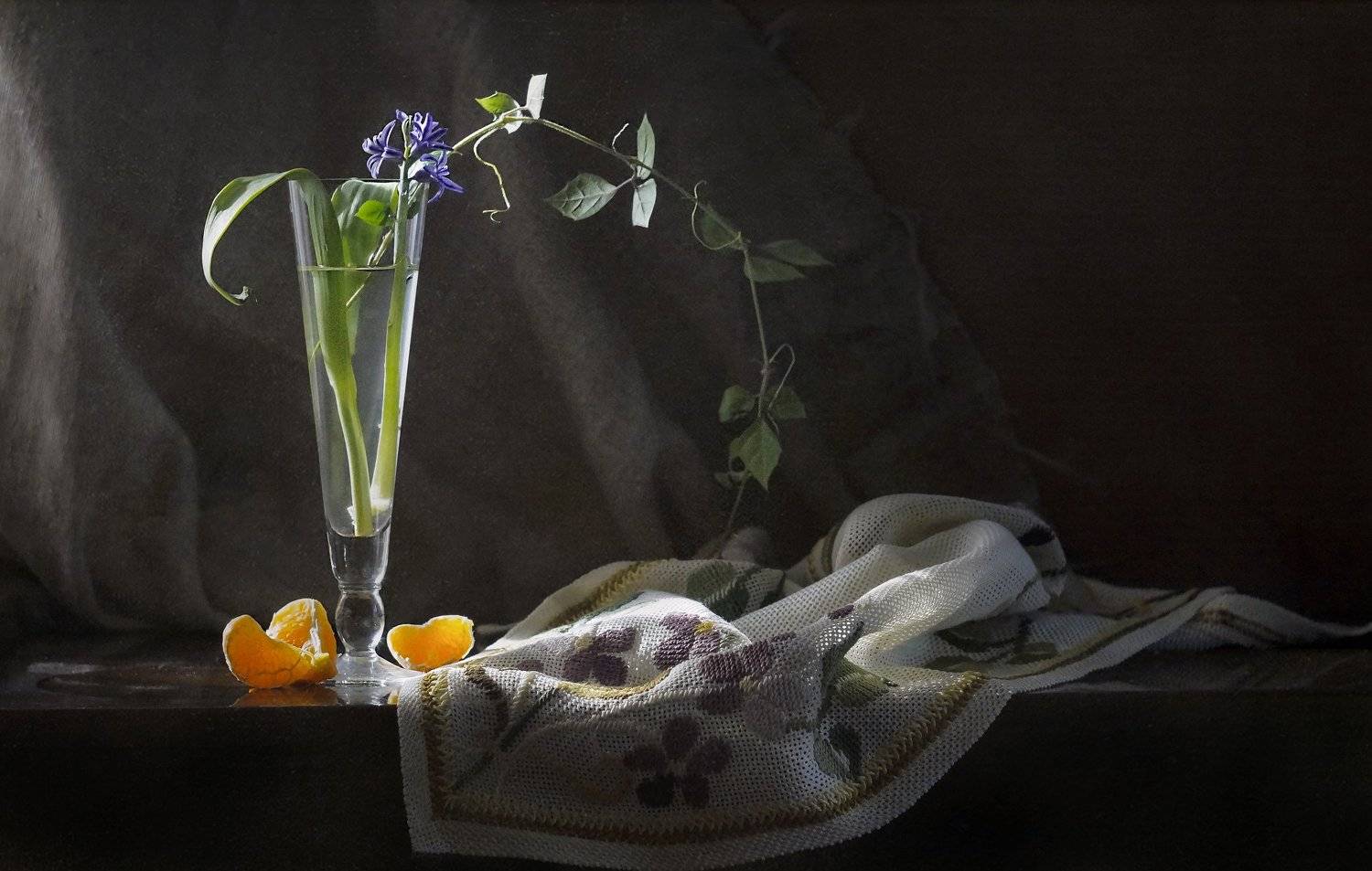 , Светлана Сушкевич