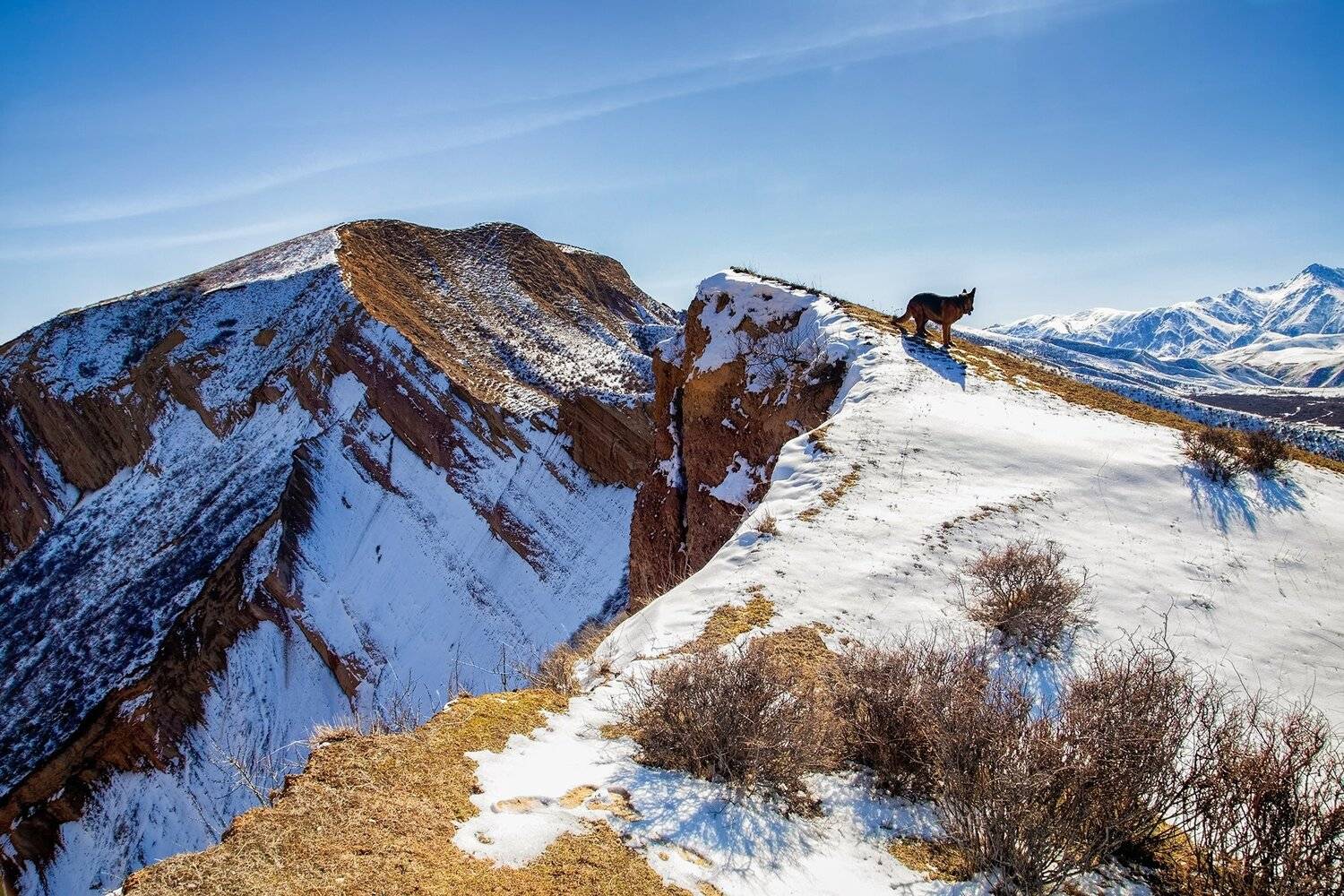 кыргызстан, горы, Элина Магалимова