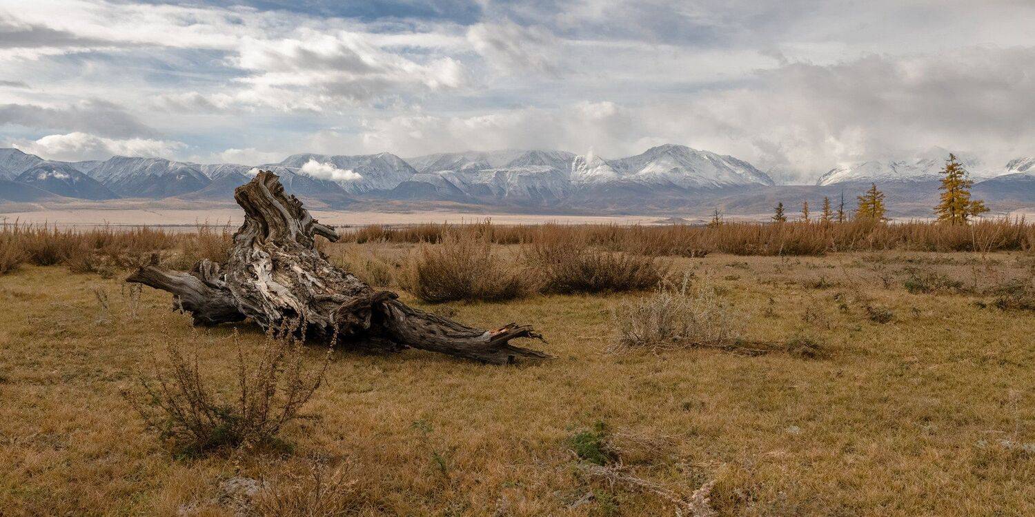 алтай.северо-чуйский хребет., сентябрь 2020, Марина Фомина