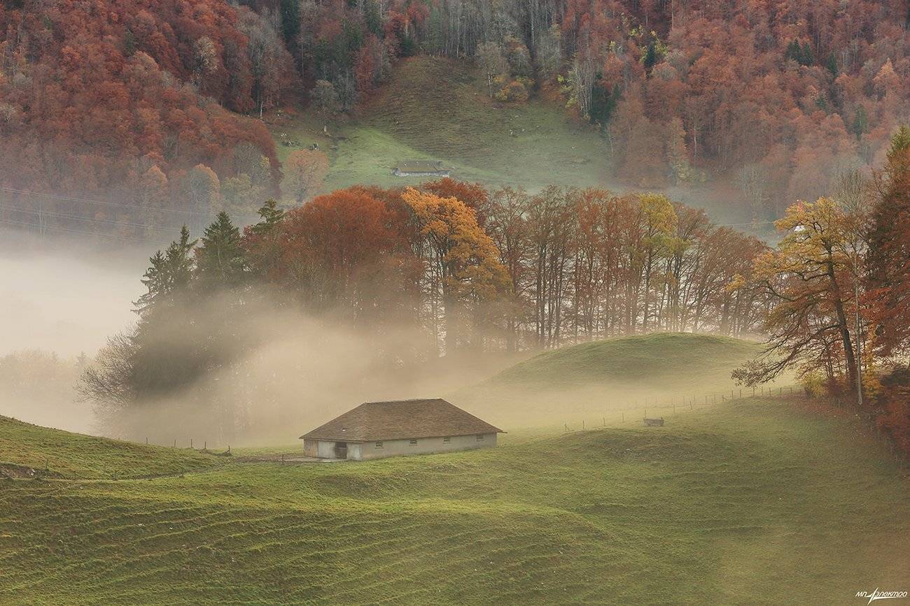 swiss, Матвеев Николай
