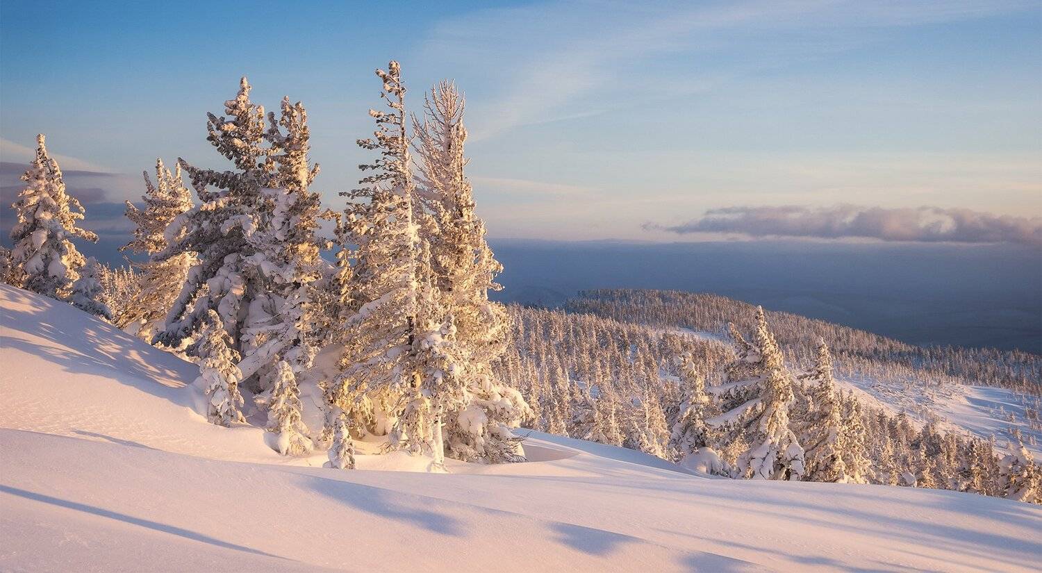 , Лещёнок Александр