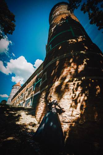 Shadows of the Castle