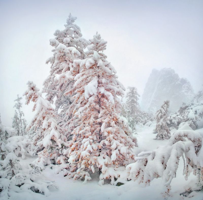 урал, осень, серебрянский камень О рыжих красавицах... фото превью
