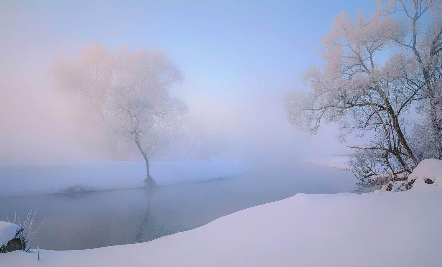 , Анатолий Зверев