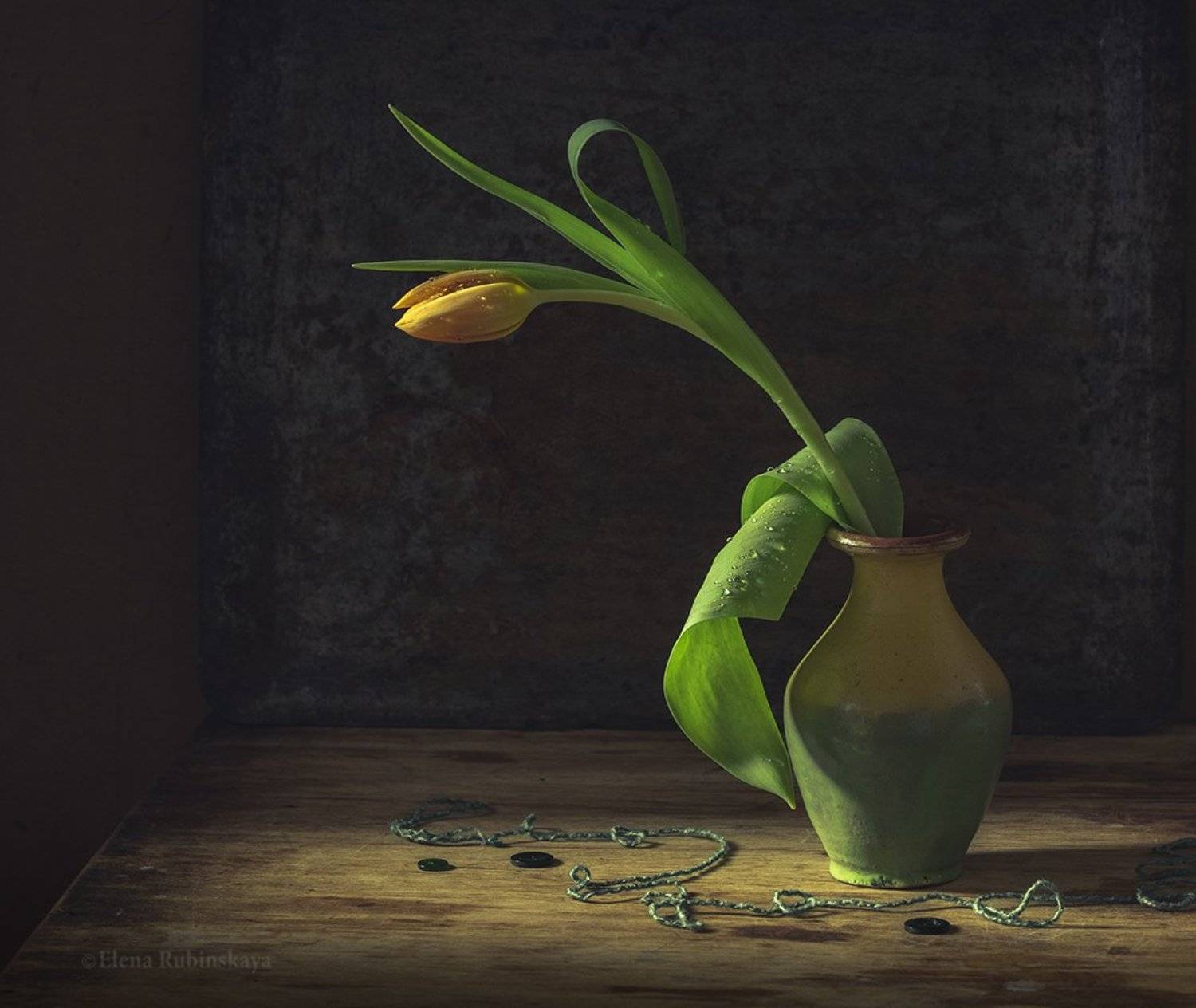 , Елена Рубинская