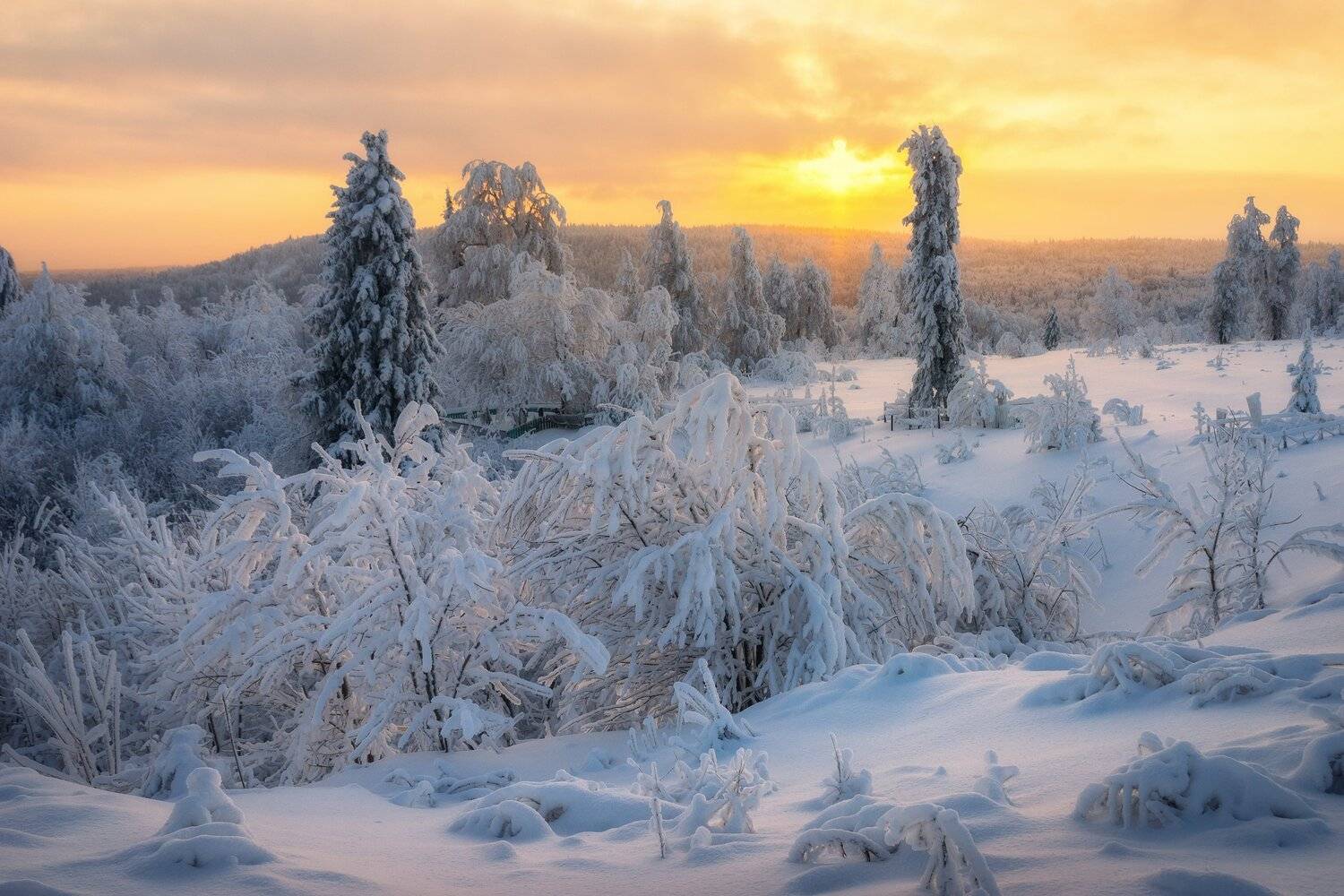 , Михаил Туркеев