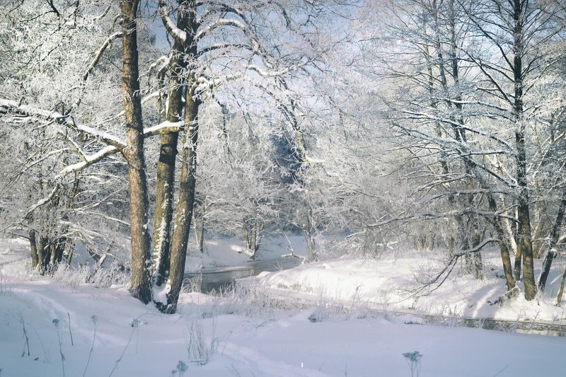 Зима на исходе фото превью